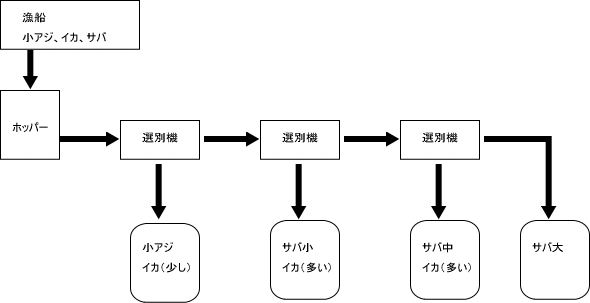 魚市場での選別例